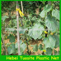 China Plant Support Net/climbing plant support net/Plant Support Net